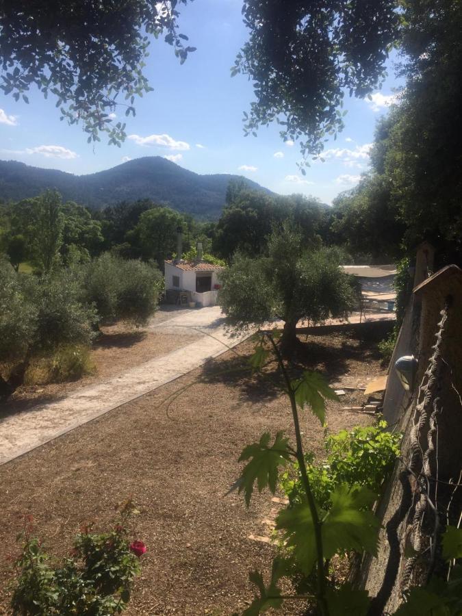 Casa Rural Cortijo La Ajedrea Siles 외부 사진