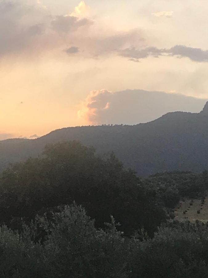 Casa Rural Cortijo La Ajedrea Siles 외부 사진